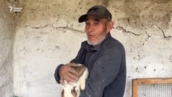 Бизнеси нав. Харгӯшпарварӣ дар Хатлон
