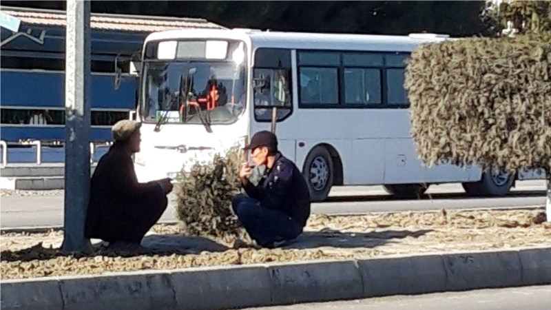 Daşoguzda döwlet awtobuslarynyň onlarça sürüjisi iş taşlady