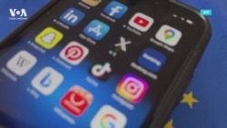 Евросоюз начал расследование в отношении TikTok и Meta из-за дезинформации об Израиле и ХАМАС 