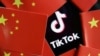 TikTok ցանցի ապրանքանշանը