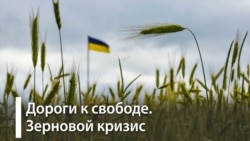 Почему страны Центральной Европы останавливают ввоз украинского зерна?
