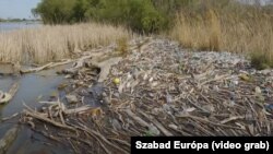 Szennyezés a Tisza-tavon