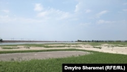 Висохле Каховське водосховище заростає травою, серпень 2023 року