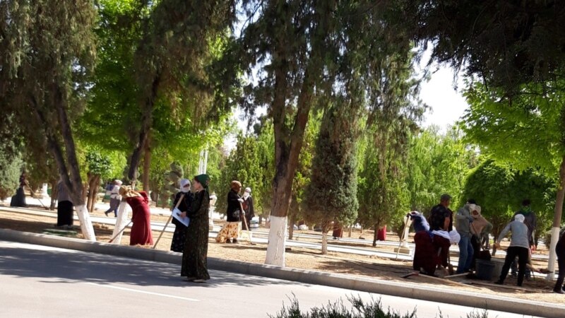 Aşgabatda talyplar üçin täze okuw ýyly mejbury arassaçylyk işleri bilen başlandy