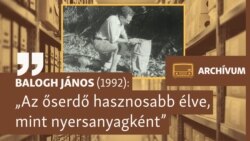 Több hasznot hoz az élő őserdő, mint a tarvágott nyersanyag belőle – archív beszélgetés Balogh János akadémikussal