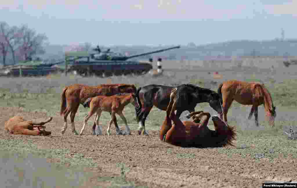 Horses graze next to military hardware at a firing range in the Almaty region of Kazakhstan.