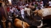 SPAIN-CULTURE/BULLS