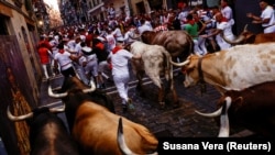 SPAIN-CULTURE/BULLS