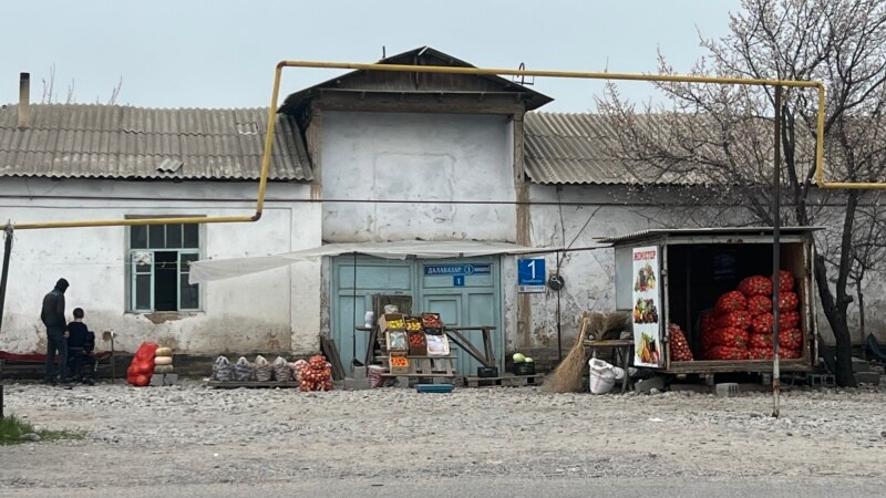 Село Карабулак на юге Казахстана предлагают сделать городом. Почему жителей не радует эта идея?