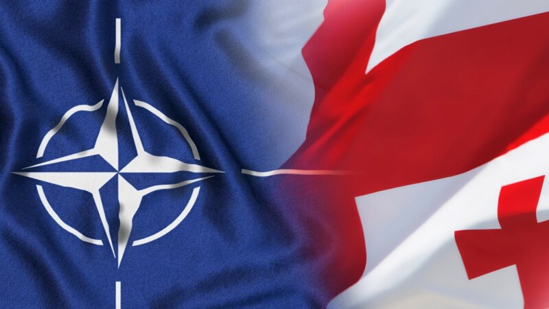 NATO-ს საპარლამენტო ასამბლეის ბიურო: 