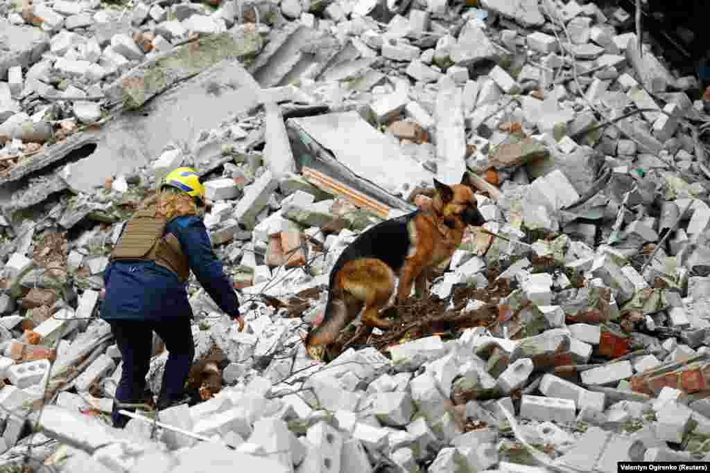 Рятувальниця разом із пошуковою собакою на місці ракетного удару у Чернігові