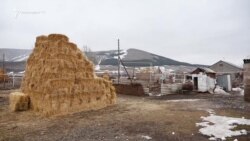 «Դարը փոխվեց». եզդիական համայնքում կարծրատիպեր են կոտրվել