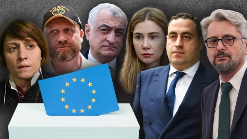 «Декларация единства» оппозиции против «Грузинской мечты»