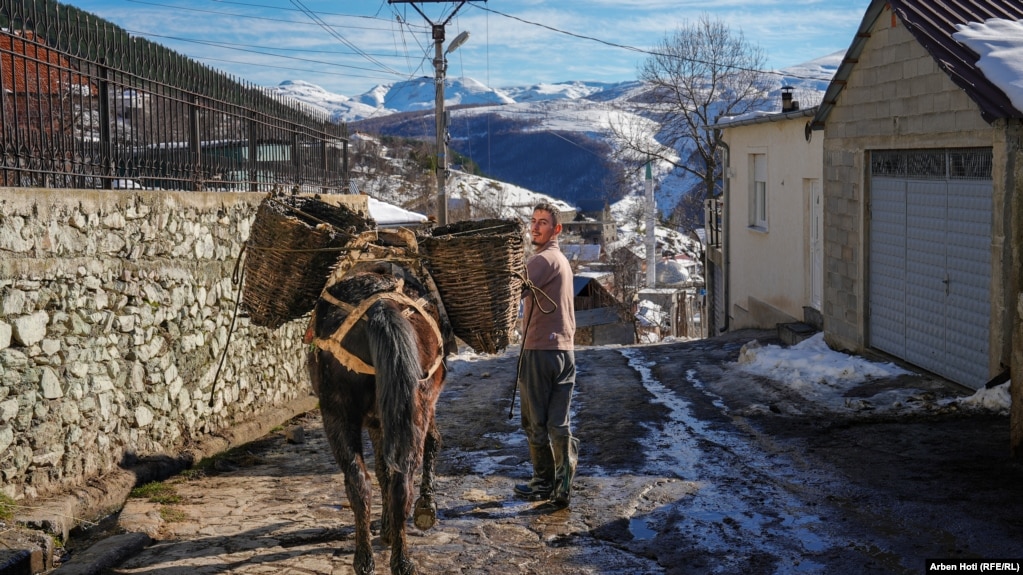 Banor i fshatit Borje duke bartur patate me kalin e tij.