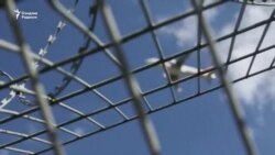 Украинага босқин: 579-кун | Дронлар ҳужуми - Москва аэропортлари яна ёпилди