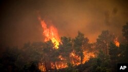 Fotografi ilustruese nga zjarret masive në Greqi gjatë muajit korrik.