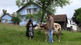 Philippine woman and Bosnian man making sustainable living near Prnjavor, Bosnia and Herzegovina, May 2023.