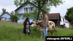 S kruzera na njivu: Filipinka i Bosanac prave samoodrživo gazdinstvo