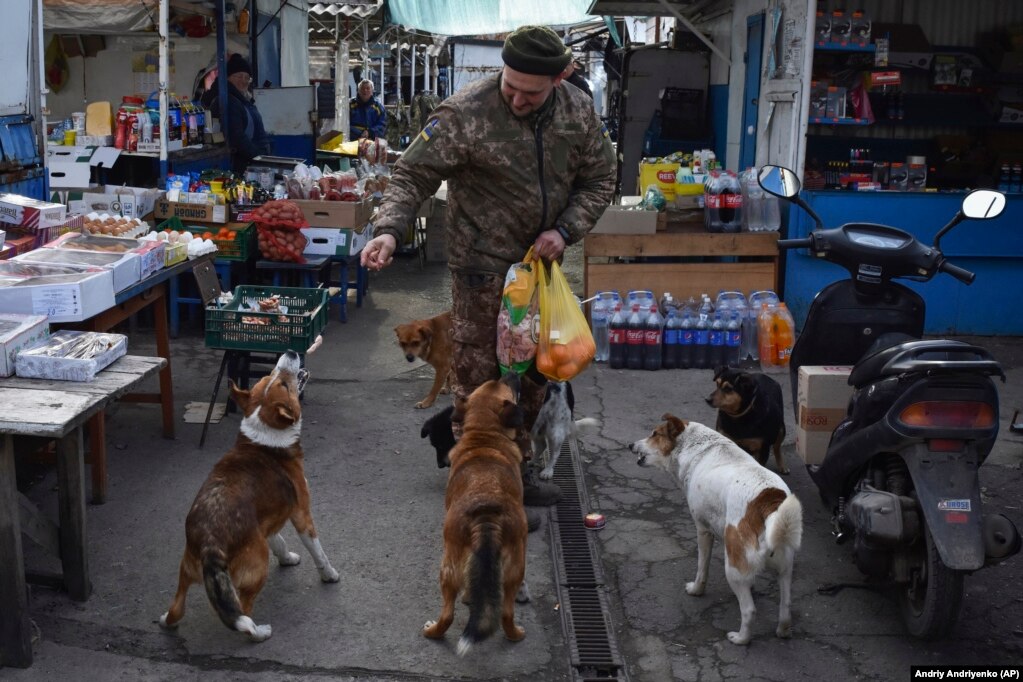 Një ushtar ukrainas duke ushqyer qentë endacakë në një treg lokal në qytetin Orekhovo, Ukrainë.