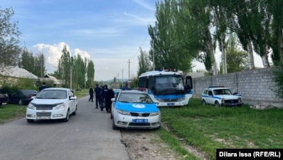 Порно актрисалар тізімі Жігіттерді жұлқылаған әйелдердің суреттері