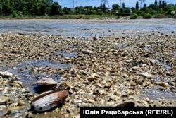 Село на березі Каховського водосховища, Нікопольський район Дніпропетровська область, 9 червня 2023 року