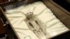 Două mumii ale unor „extratereștri” au fost prezentate în Congresul din Mexic