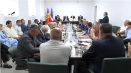 Echipa Evgheniei Guțul a fost susținută de 20 din cei 35 de deputați ai Adunării Populare.