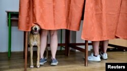 Un câine în cabina de votare la Budapesta, într-unul din cele mai urmărite scrutine din cadrul alegerilor pentru Parlamentul European. Ungurii au tot astăzi și alegeri locale. 