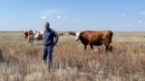 Kazakhstan - Former judge and farmer Malik Kenzhaliyev. West Kazakhstan Region, 08Aug2024