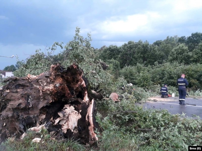Shkulja e një peme si pasojë e stuhisë në Bosnje.