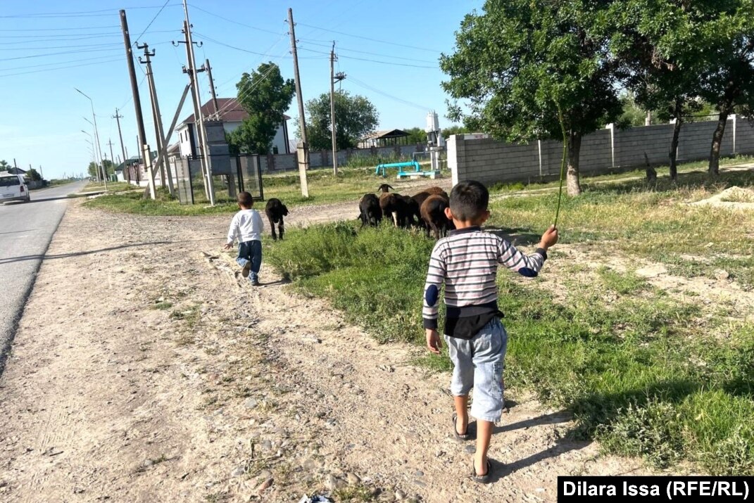 Қырғыз секс видео