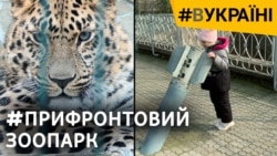 Російські ракети у Миколаївському зоопарку. Як світ рятував тварин? (відео)