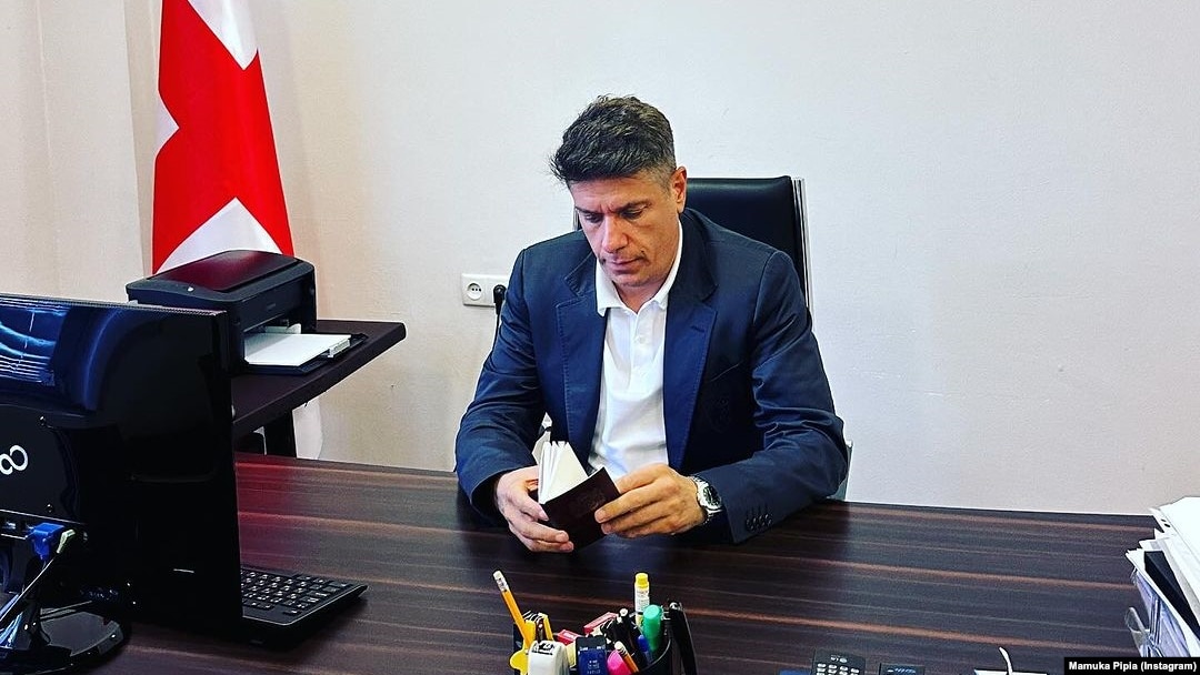 Мамука Пипия в парламенте