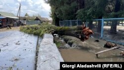 ლაგოდეხის მუნიციპალიტეტი