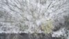Snimak iz vazduha šume prekrivene snegom u Debrecenu, Mađarska