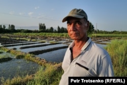 Abdullahob in his rice field next to the Tajik Sea