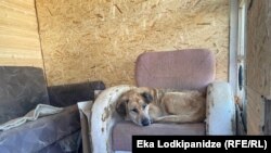 ფოტოილუსტრაცია