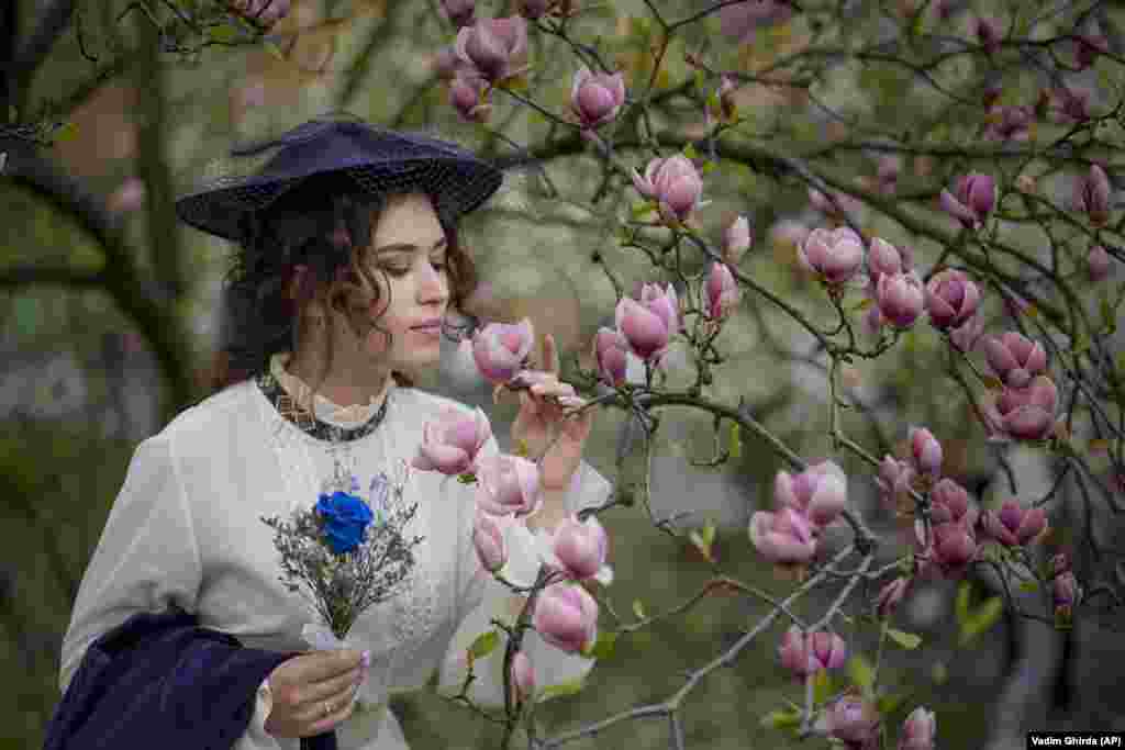 A woman poses for a friend next to blossoming magnolia trees in the A.V. Fomin Botanical Garden in Kyiv.