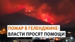 "Деревья падают". В Геленджике выгорели десятки гектаров леса