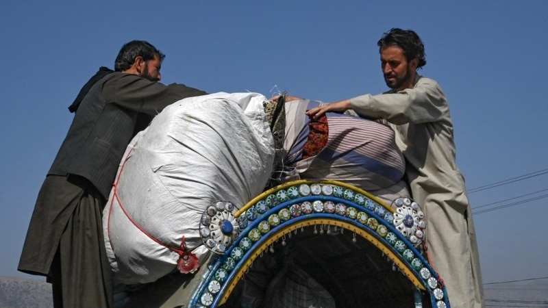 طالبان له پاکستانه د افغان کډوالو د مالونو رالېږدونکو موټرو څخه مالیه نه اخلي