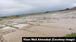 تاثیرات سیلاب‌ها بر معیشت و کشاورزی در افغانستان
