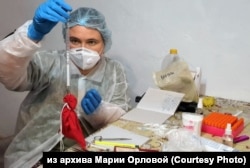 Мария Орлова изучает остроухую ночницу, большого подковоноса и паразитов, найденных на летучих мышах, на инфекции и коронавирусы