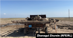 Трактор, собирающий погибший скот в селе Каратал. 13 апреля 2024 года