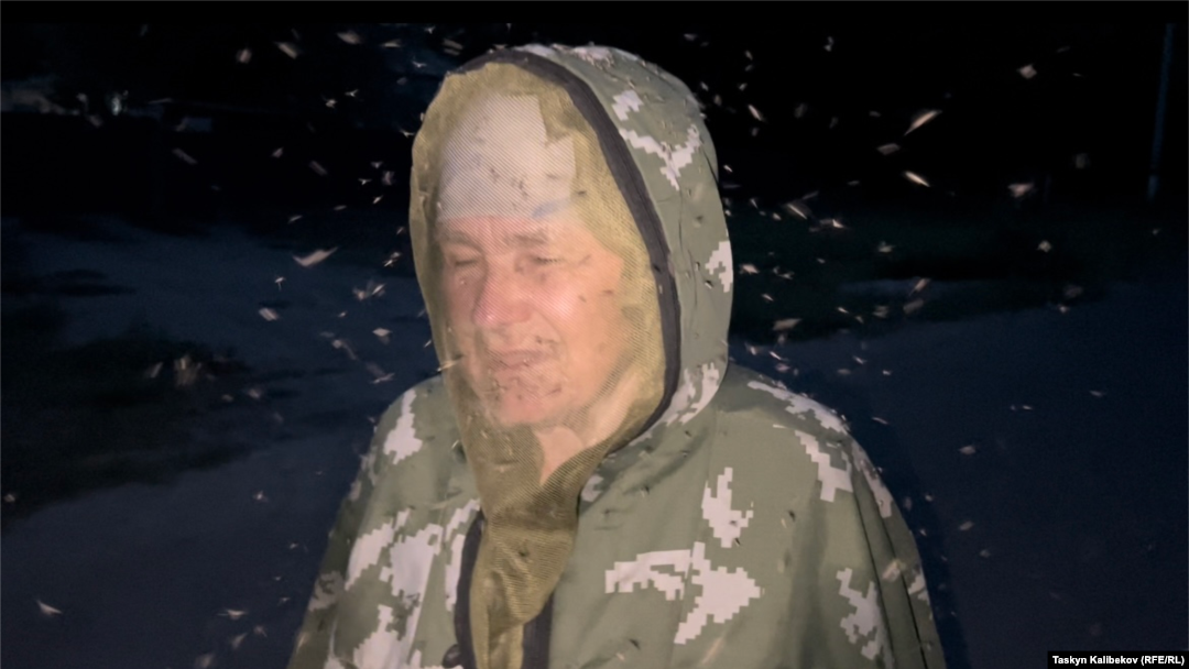 Майлы әтештердің анальді фотосуреттері Траннилер мені былғады