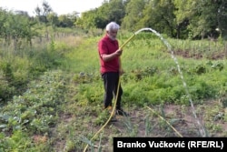 Dragobraća i Divostin kod Kragujevca imaju dovoljno vode za piće i za napajanje stoke