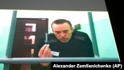Ալեքսեյ Նավալնին բանտից տեսակապով պատասխանում է դատավորի հարցերին, արխիվ, Մելեխովո, Ռուսաստան: 