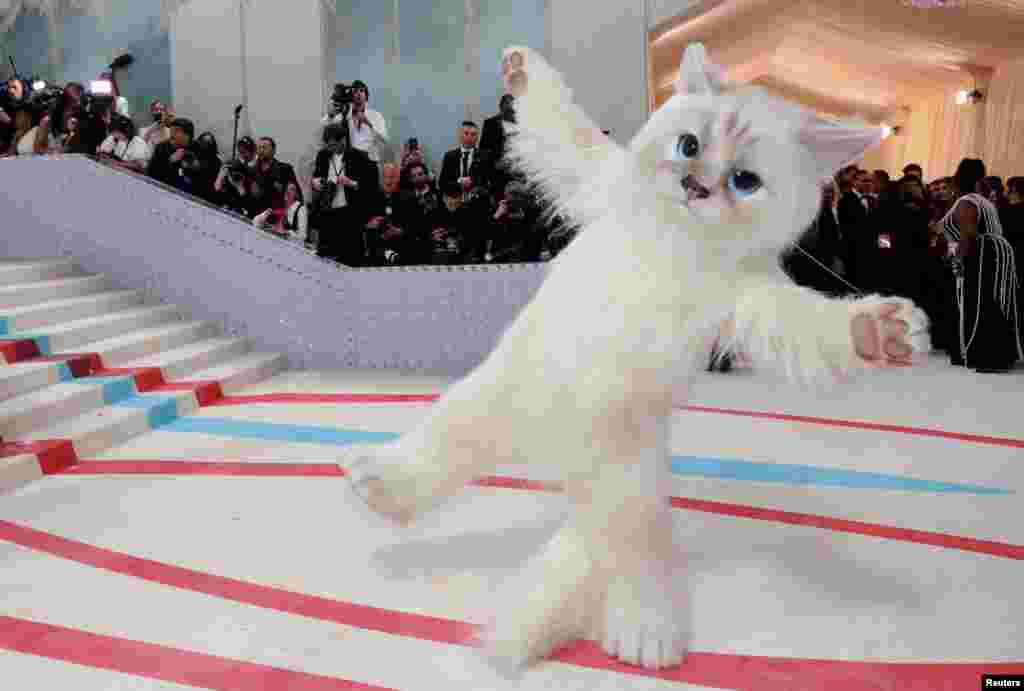 Američki glumac i muzičar Jared Leto, obučen kao mačka Karla Lagerfelda Choupette, pozira na Met Gala, godišnjoj svečanosti prikupljanja sredstava za Institut za kostime Metropolitan muzeja u New Yorku, SAD, 1. maj.