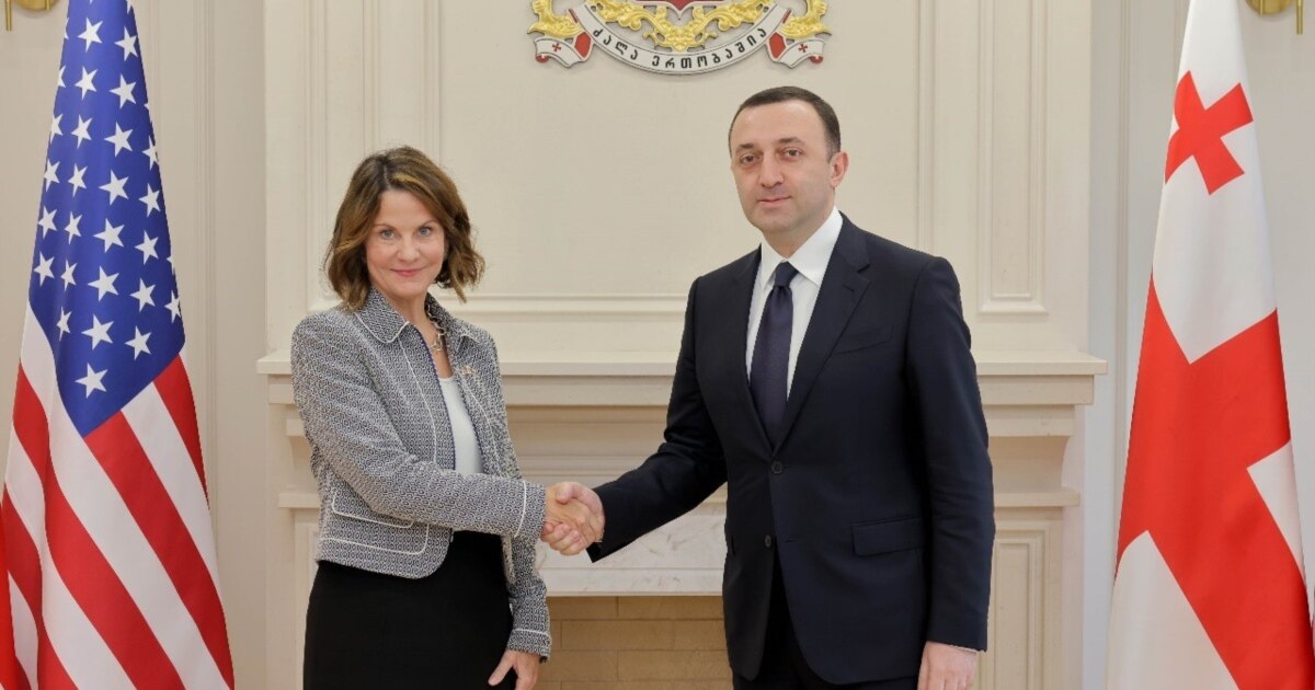 რას ნიშნავს აშშ-ის ელჩის მოულოდნელი წასვლა? “ოცნების” ეჭვები, ბრალდებები, მოლოდინი