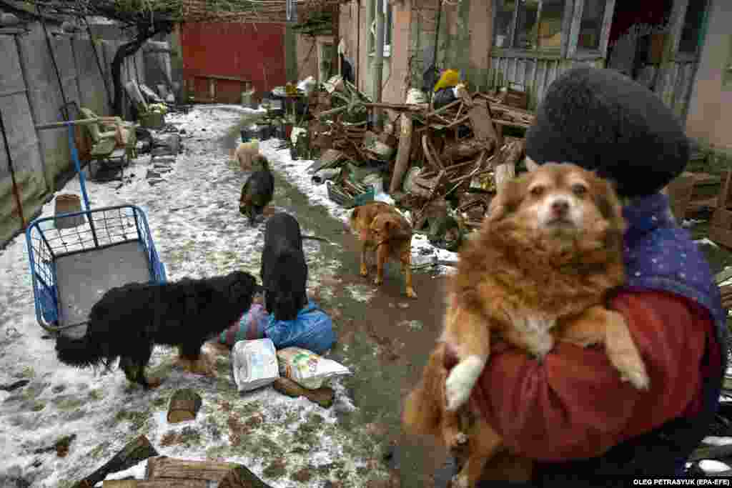 Volunteers take the time to cuddle and play with the abandoned pets.