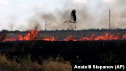 A stork flies over a burning field near the town of Snigurivka, Mykolayiv region, Ukraine, in July. 